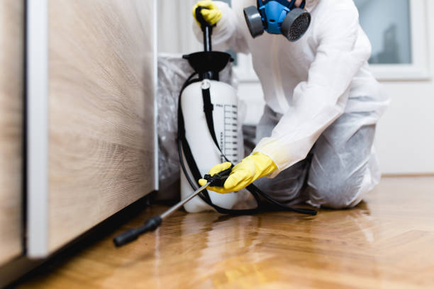 Best Best Pest Control Companies  in Continental, OH