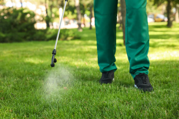 Best Emergency Pest Control  in Continental, OH