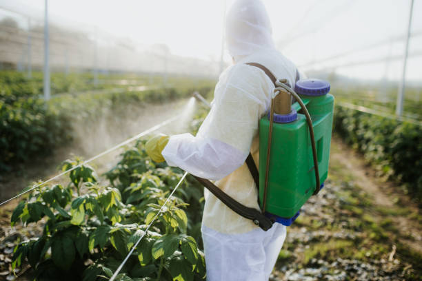 Best Affordable Pest Control Services  in Continental, OH